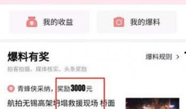头条爆料怎么发视频,头条爆料如何轻松制作热门视频