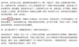 娱乐吃瓜君视频论文,揭秘网络娱乐现象背后的真相与影响