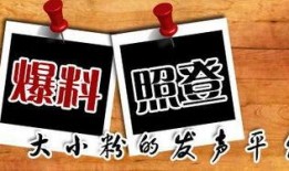 哪里有新闻爆料,网络爆料背后的新闻风云