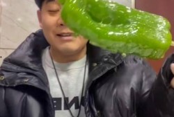 即墨网红吃瓜事件视频最新,真相揭秘，网络舆论的漩涡与反思