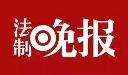 哪里有新闻爆料,网络爆料背后的新闻风云