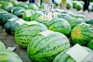 吃瓜比赛每日反差,每日反差笑料连篇